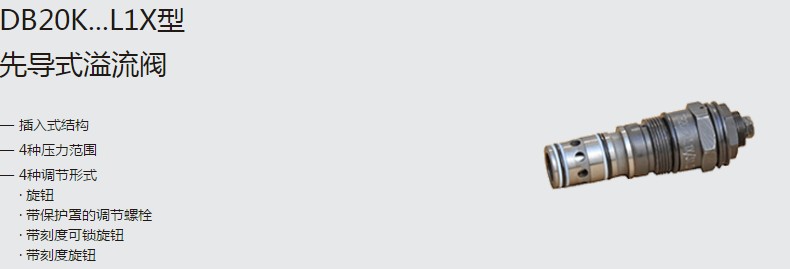 SHLIXIN上海立新DB20K...L1X型先導式溢流閥